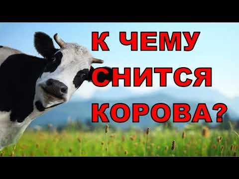 К чему снится КОРОВА? Толкование снов.