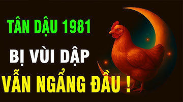 Thần Phật Nói Rõ: Tuổi Tân Dậu 1981, Cuộc Đời Có Bất Đắc Dĩ Đến Đâu Cứ Hãy Ngẩng Cao Đầu Mà Sống