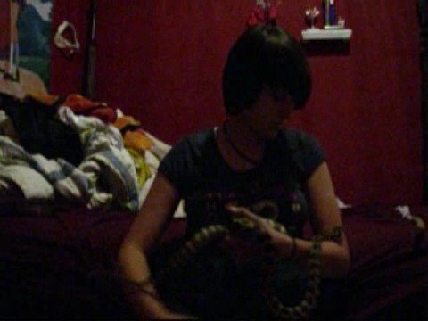 serpentor NEW CARPET PYTHON