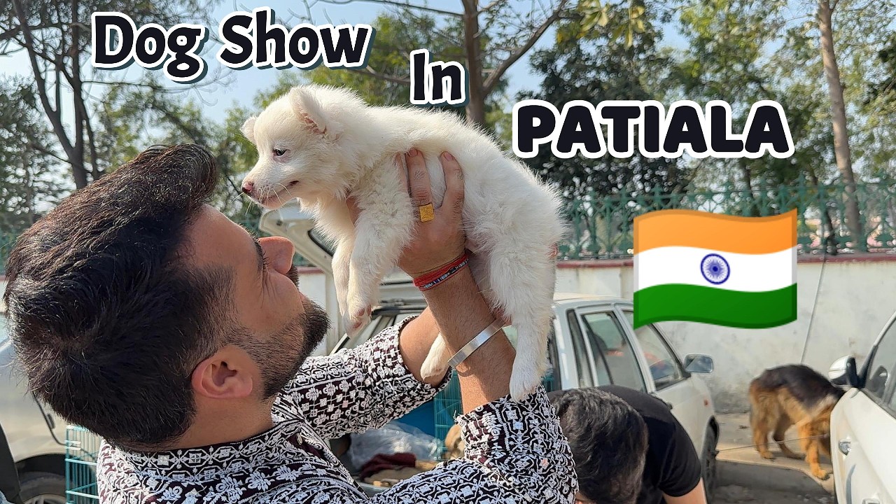 Dog Show In PATIALA | 2026