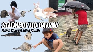 BELAJAR DARI KUCING | Beginilah Cara Induk Kucing Survei untuk Rumah Baru Bayi Kucingnya