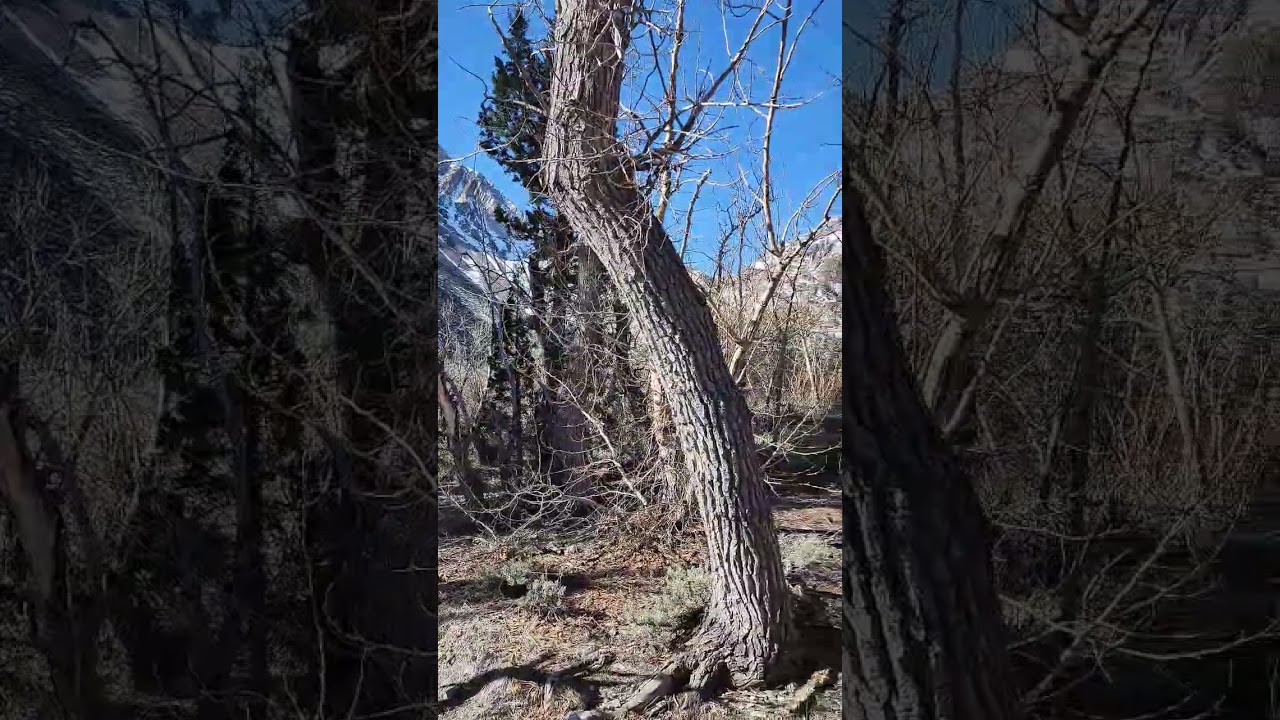 Eastern Sierra hiking 