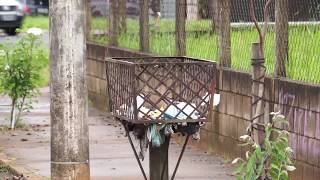 JORNAL PARANAÍBA -  Secretaria de saúde de Uberaba faz mobilização para combater a dengue screenshot 5