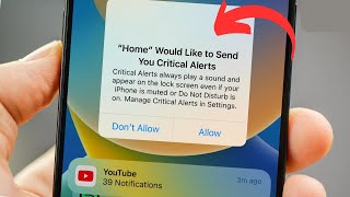 Critical alerts iPhone stuck | Home would like to send you critical alerts iPhone problem 11 Pro Max screenshot 3