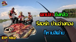 ตกปลาชิงหลิว รีสอร์ทบ้านอ่างทอง จ.อ่างทอง ก็หาบสิค้าบ EP.182