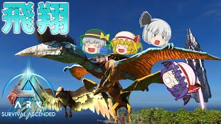 アルコルの改葬 / ゴッドフェス アルコルの改葬 / ゴッドフェス