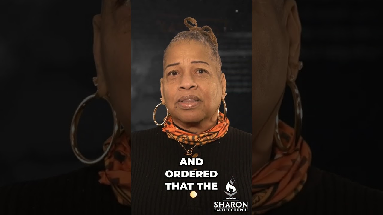 Forty Acres and a Mule: A Broken Promise #shorts