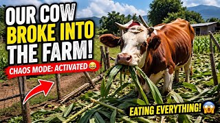 OUR COW BROKE INTO THE FARM AND CHOSE CHAOS 😳🐄 #Viral #Africa