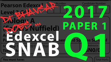Dr. Bhavsar doet SNAB Paper 1 2017 Vraag 1