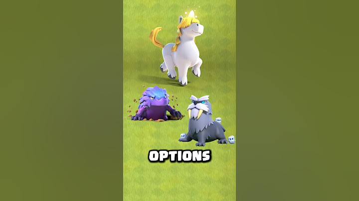 Best Hero Pet Combinations That Will DOMINATE in 2025!