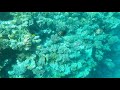 Тест под водой.Самсунг А7 2017.Красное море.Шарм-Эль-Шэйх.Январь 2018