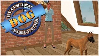 Adopted by a New Owner?!  Ultimate Dog Simulator  Episode #2