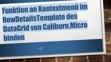 Funktion an Kontextmenü im RowDetailsTemplate des DataGrid von Caliburn.Micro binden