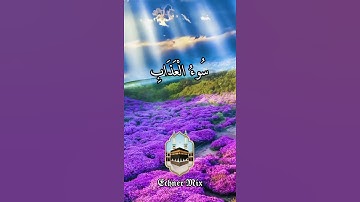 فستذكرون ما اقول لكم وافوض امرى الى الله - للقارئ | مشاري راشد العفاسي