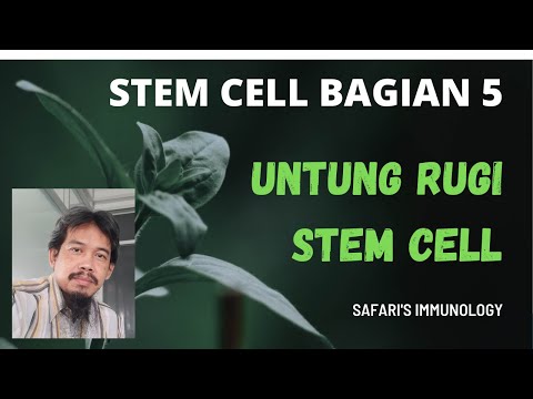 STEM CELL (SEL PUNCA) BAGIAN 5: UNTUNG RUGI STEM CELL
