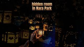 Show your wife THIS hidden place in Nara Park 🤫🇯🇵