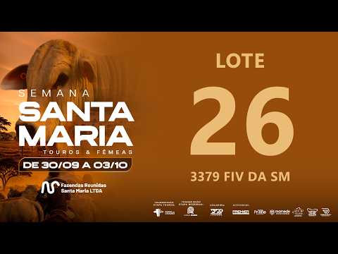 LOTE 26 FSM A3379