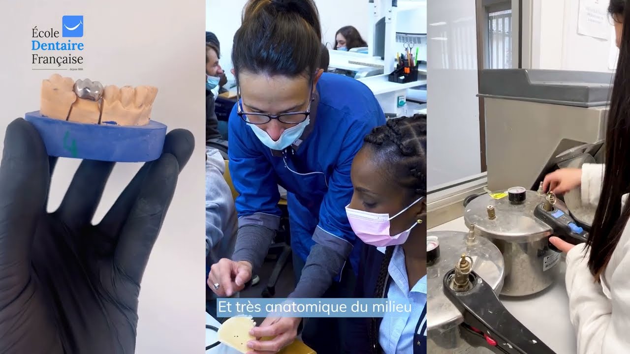 Devenez Prothésiste dentaire à l’École Dentaire Française