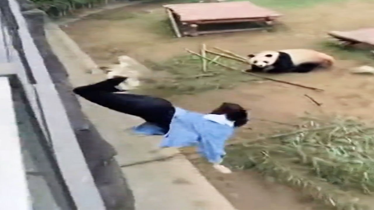 猝不及防的搞笑瞬间 #84 你能忍到第几个