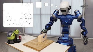 Planning and Execution of Daily Cleaning Tasks with the Humanoid Service Robot Rollin' Justin