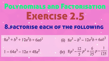 Polynomials and Factorisation Exercise 2.5 8th problem/ polynomials Class 9/Factorize the following