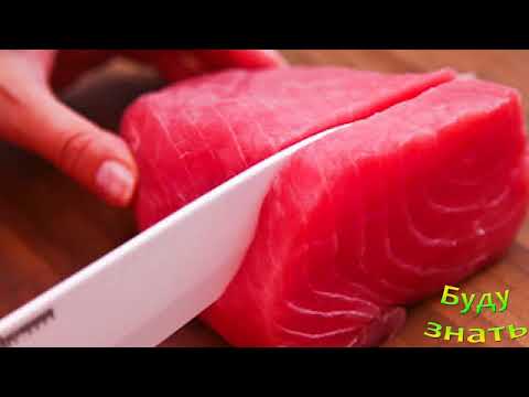 Тунец - толи МЯСО? толи РЫБА?