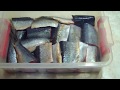 Простой рецепт посола СЕЛЬДИ. herring salt