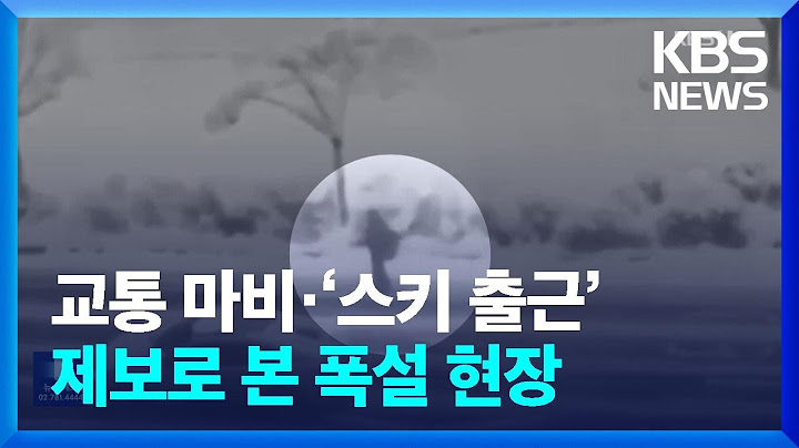교통마비에 스키 타고 출근까지…제보로 본 폭설 현장 / KBS  2024.11.29.