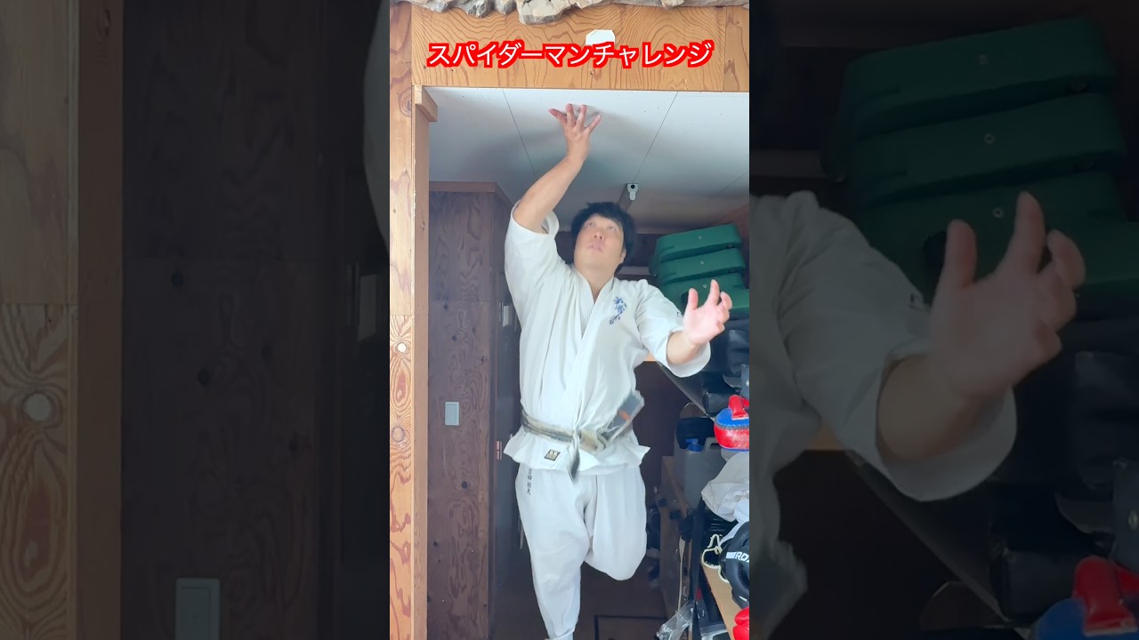 【武道・武術】話題のスパイダーマンチャレンジを武道家がやってみた！天井に張り付いて見えるか！？#aikido  ＃karate #martial #武道 #空手＃筋トレ
