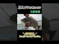 見えチヌが釣れる!?#釣り #浜名湖 #ルアー