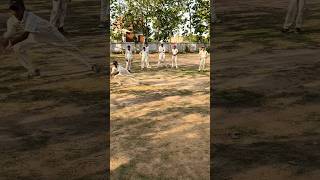 SSM CRICKET ACADEMY MANKAPUR #cricket #viratkohlishatak #cricketacadmey #vairal