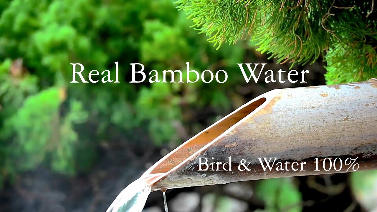 Sleep Sounds Bamboo Water Fountain Also for Studying & Focus White