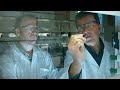 Origin of Life and Chemistry