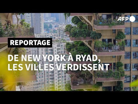 Vidéo: Les Parcs Urbains Calmes Pourraient Aider Les Citadins à Trouver La Paix