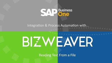 SAP Business One Integration Bizweaver Reading Text From a File