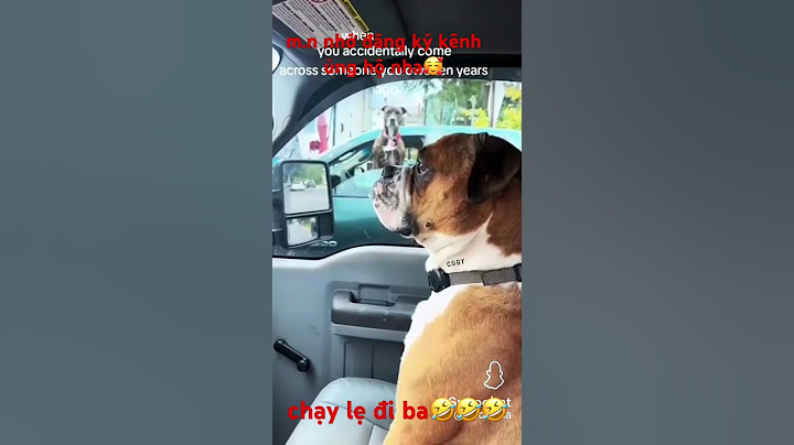 Chạy lẹ đi ba, nó nhìn kìa🤣🤣🤣( m.n nhớ đăng ký kênh ủng hộ nha🥰)