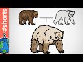Hybrid Bears and Their Naming