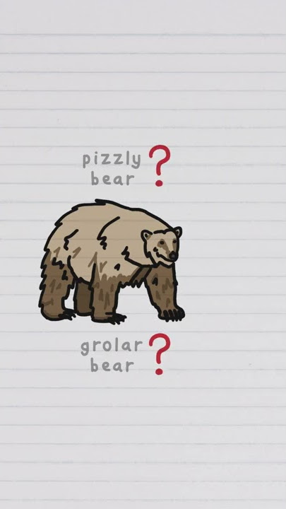 Grolar Bears #Shorts