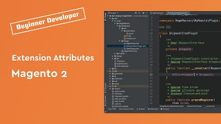 Extension Attributes in Magento 2 explained screenshot 2