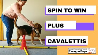 Spin to Win With Cavalettis