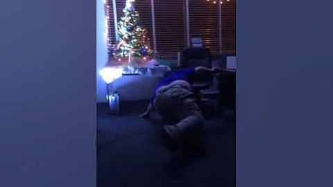 Flounder gets drunk