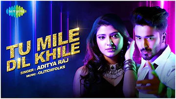 Tu mile Dil khile | Aditya Raj | Ankush & Shridhar(Glitchfolks) | Recreation | Official Music video