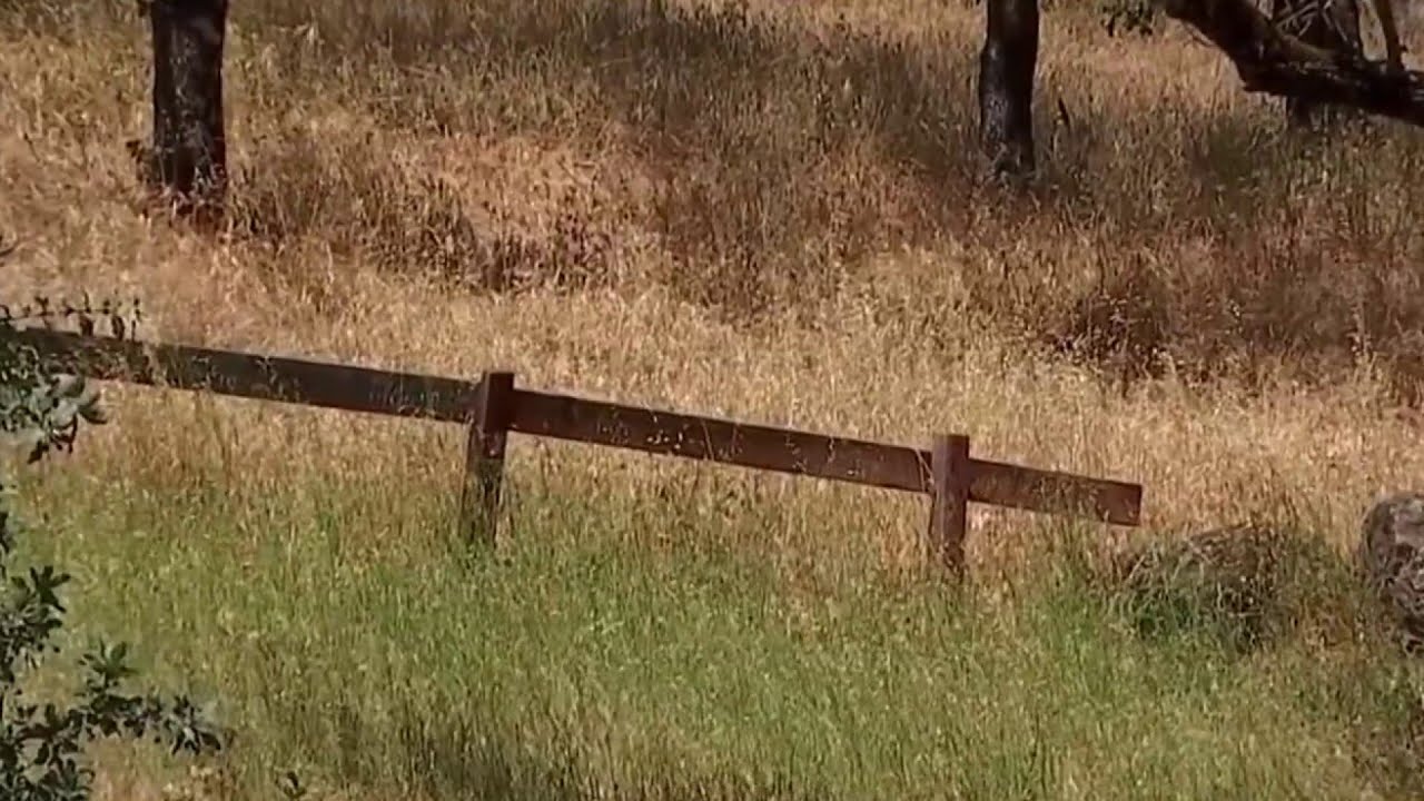 Red flag warning issued for Solano County, Sacramento and San Joaquin  valleys