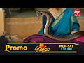 Ammoru Latest Promo | Episode No 07 | 23rd February 2026 | ETV Telugu