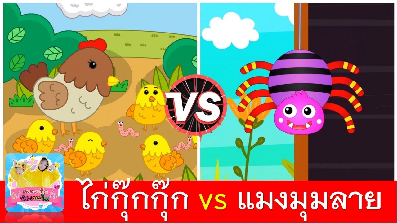 ไก่กุ๊กกุ๊ก vs แมงมุมลาย