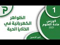 13 الظواهر الكهربائية 1 علوم بكالوريا 2025