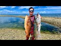Spearfishing for food living from the ocean
