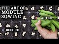 The Simple Art of Sowing Seeds in Modules