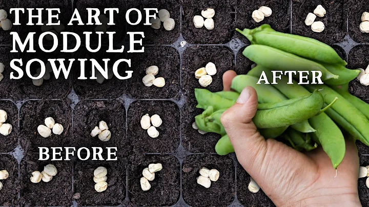 The Simple Art of Sowing Seeds in Modules