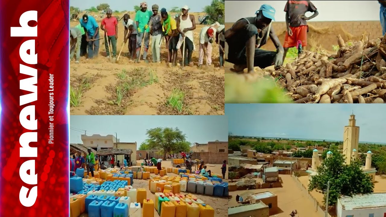 Diokhor île : oasis en détresse sur le lac de Guiers